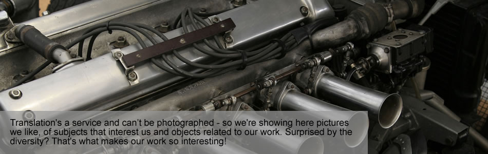 Certified Translation Provider